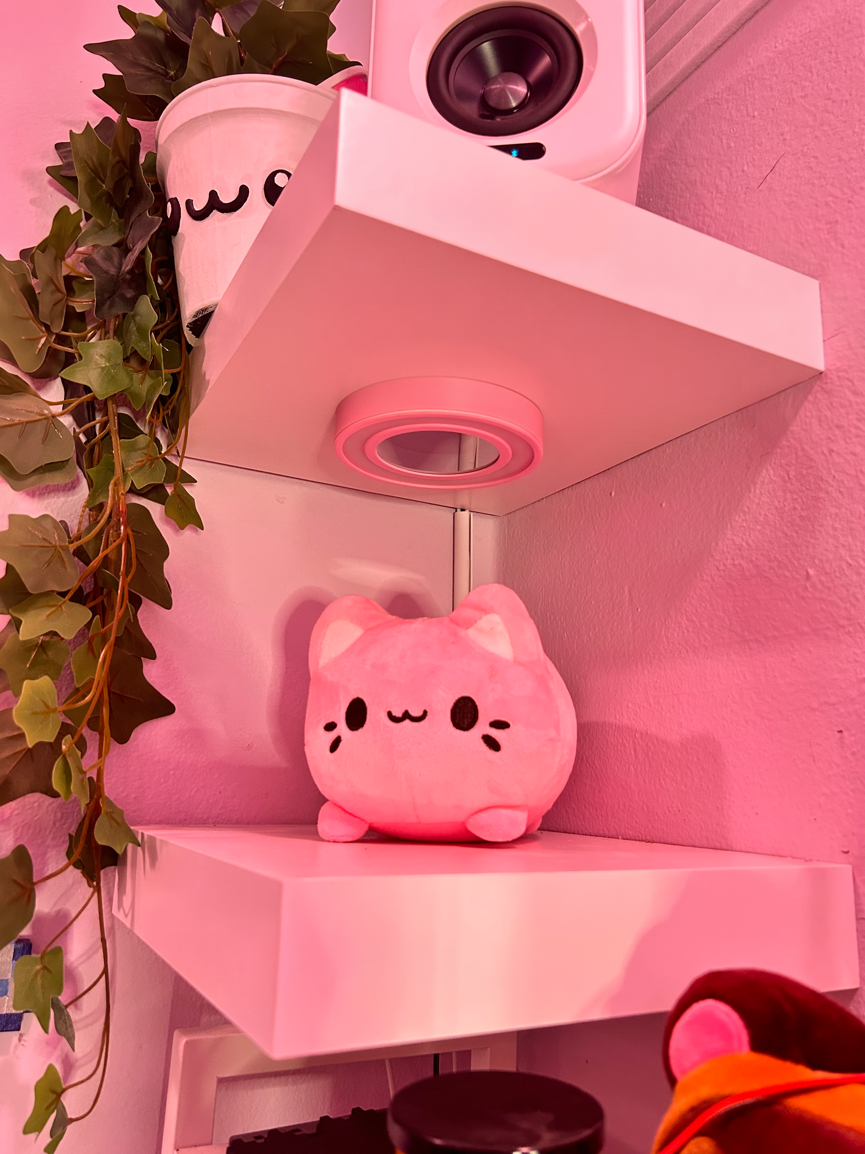 Product photo 21